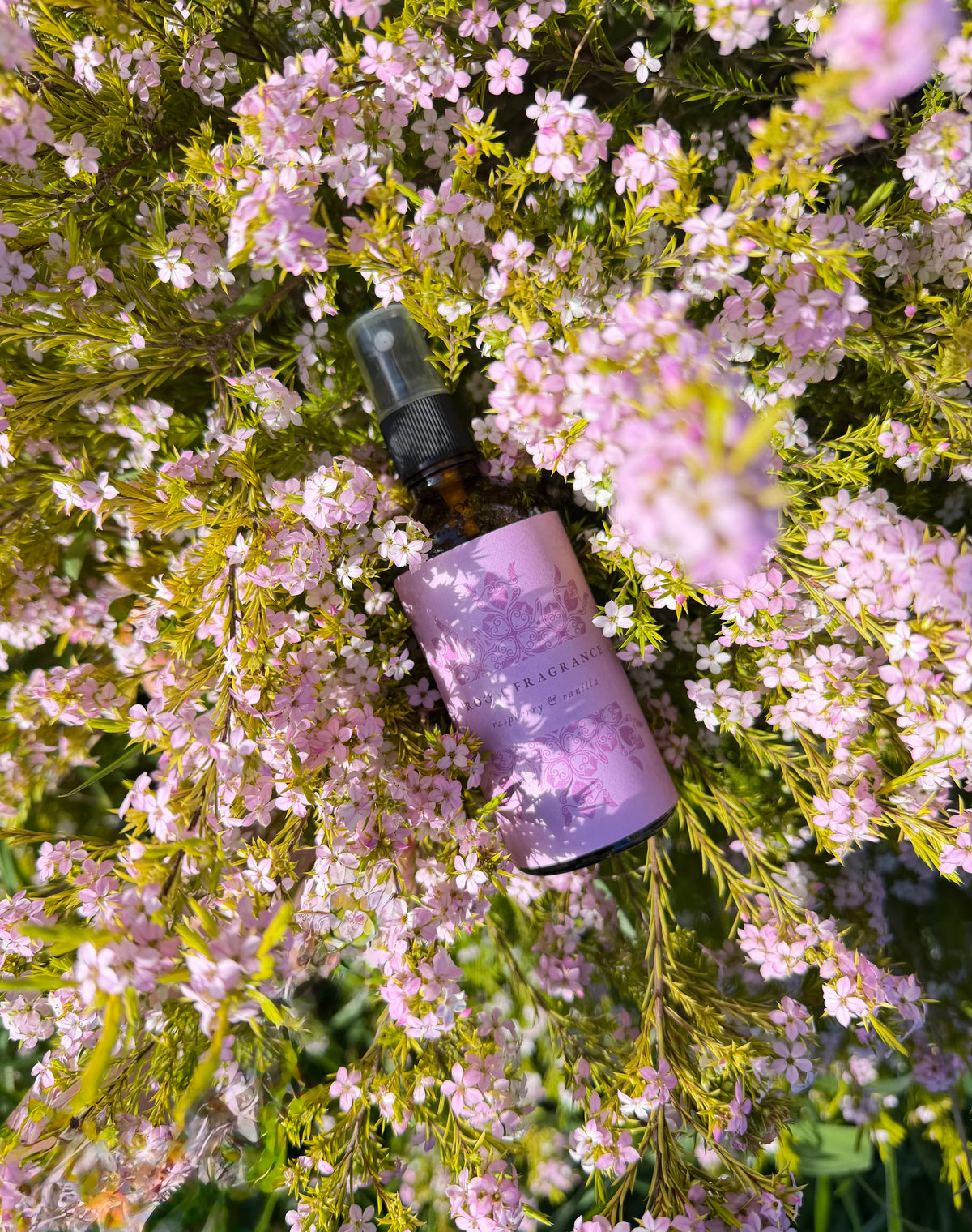Raspberry & Vanilla Room Fragrance