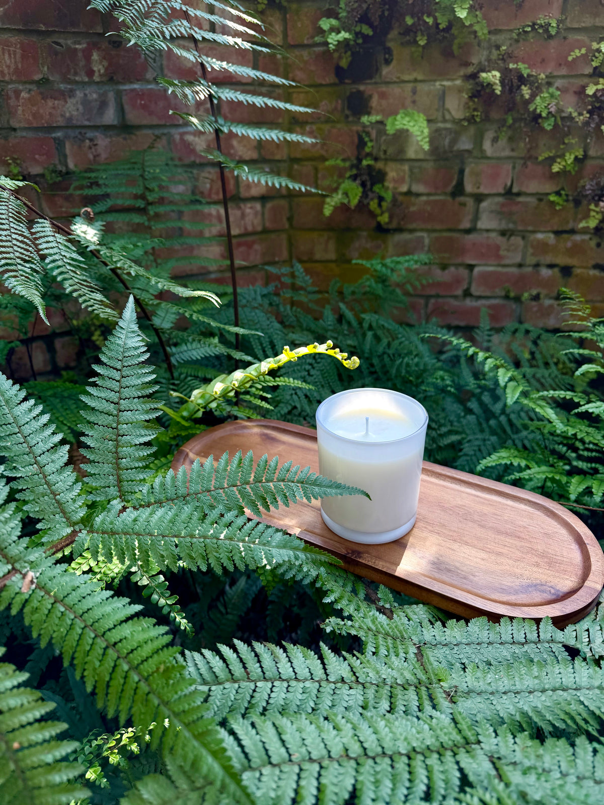 Soy Wax Candle
